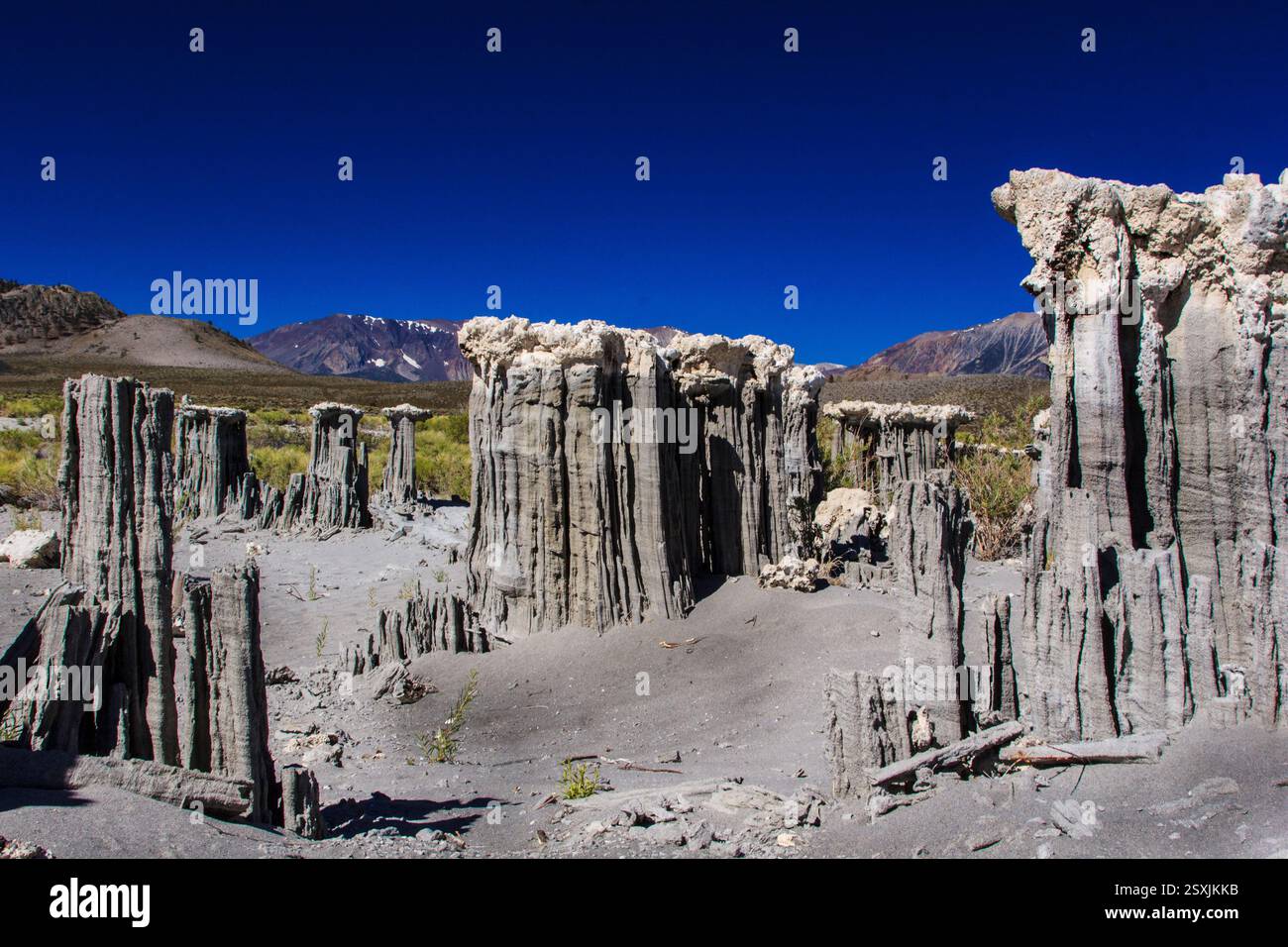 Paysage désertique rocheux avec un ciel bleu. Il y a beaucoup de grosses roches dispersées dans toute la région. Certaines roches sont plus hautes que d'autres Banque D'Images