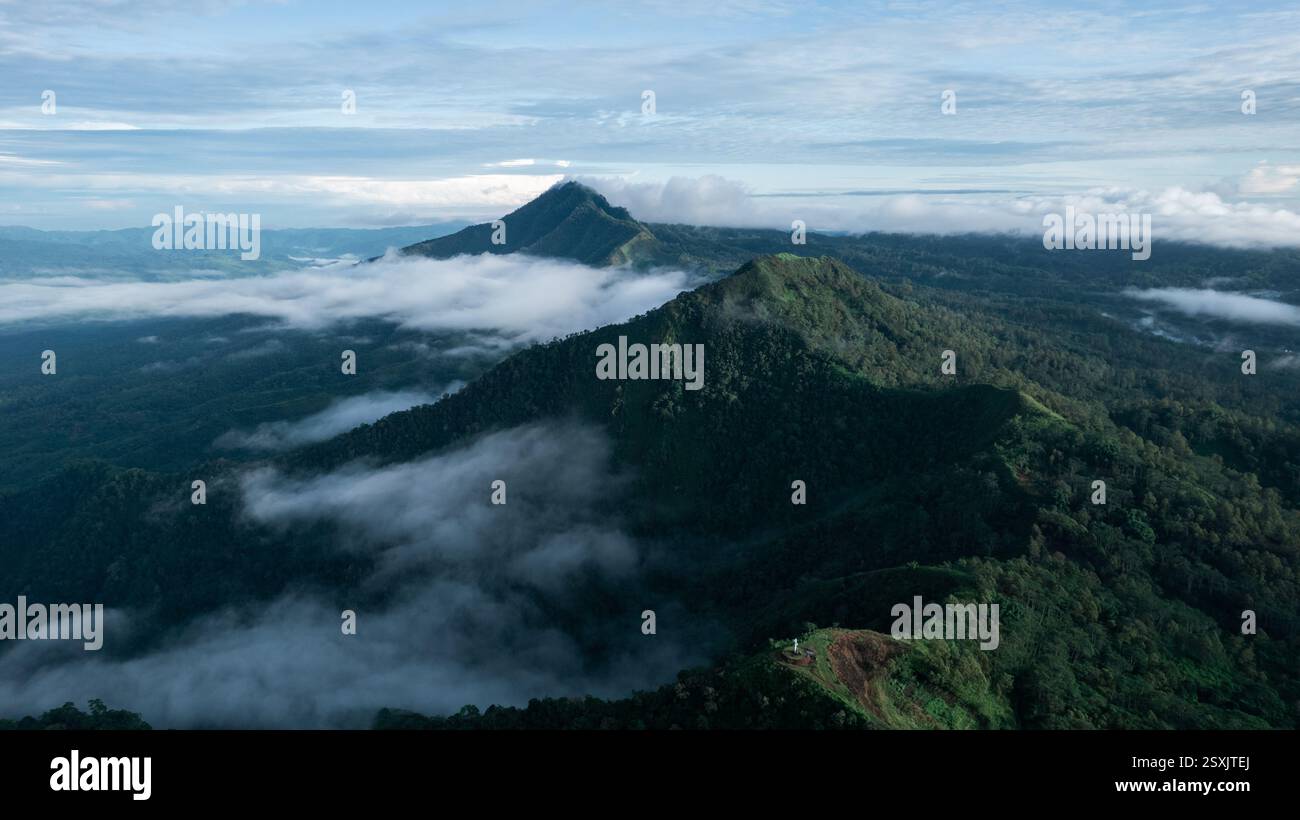 Une prise de vue époustouflante en haute altitude révélant des collines ondulantes recouvertes de brume, créant un paysage serein et éthéré. Banque D'Images