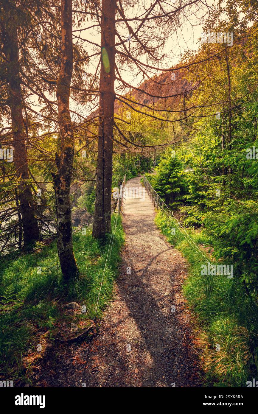 Pont sur une rivière de montagne dans le High Rope & Zip-Line Park. Belle nature de Norvège. Photo verticale Banque D'Images