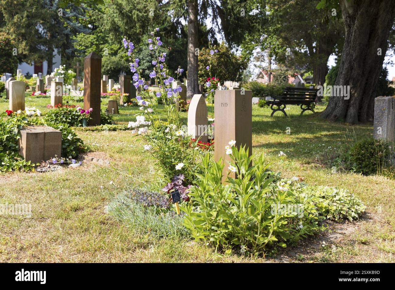 Tombes d'urne au cimetière de Riesa, Saxe, Allemagne, Europe Banque D'Images