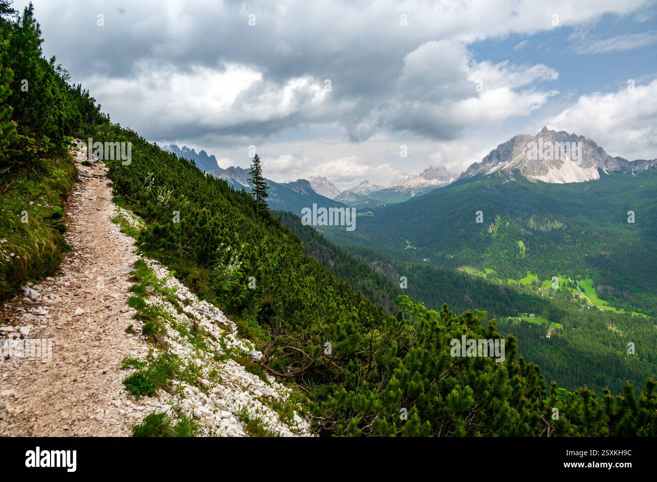 Vue imprenable sur les forêts, les montagnes et les vallées des Dolomites italiennes (Dolomiti, Dolomiten). Capturé depuis un sentier pittoresque le long d'une corniche rocheuse. Banque D'Images