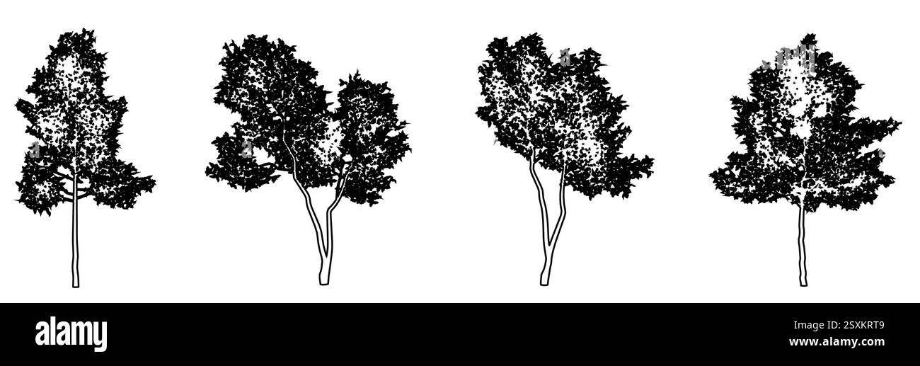Ensemble ou collection de frênes verts comme silhouette de dessin de ligne noire sur fond blanc. Concept ou vecteur conceptuel pour la nature, la planète, l'écologie Illustration de Vecteur