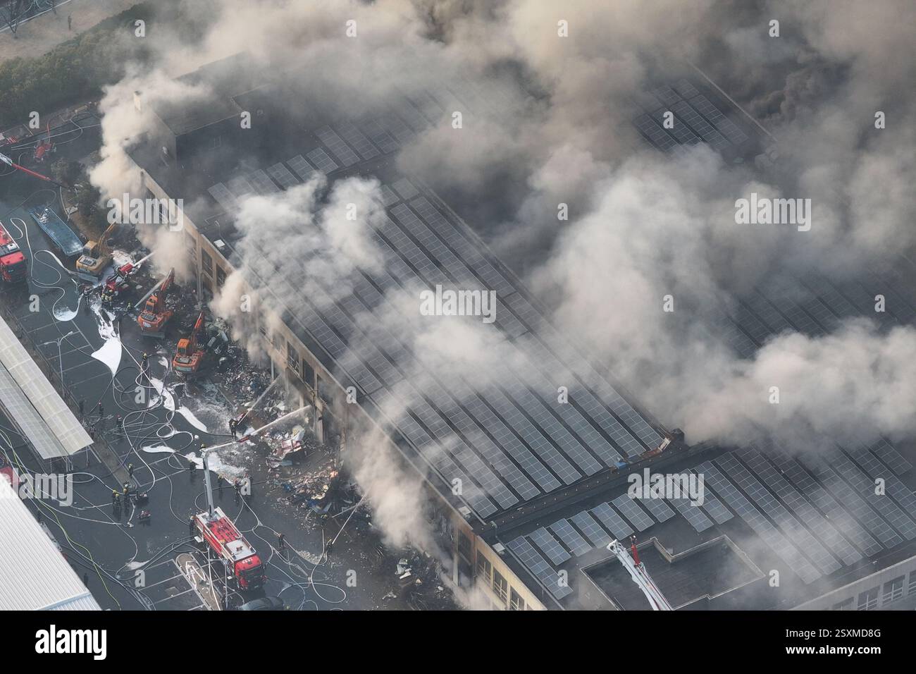 NANJING, CHINE - 25 FÉVRIER 2025 - des pompiers combattent un incendie dans une entreprise de la zone de libre-échange complète de Nanjing, dans l'est de la Chine, Jian Banque D'Images
