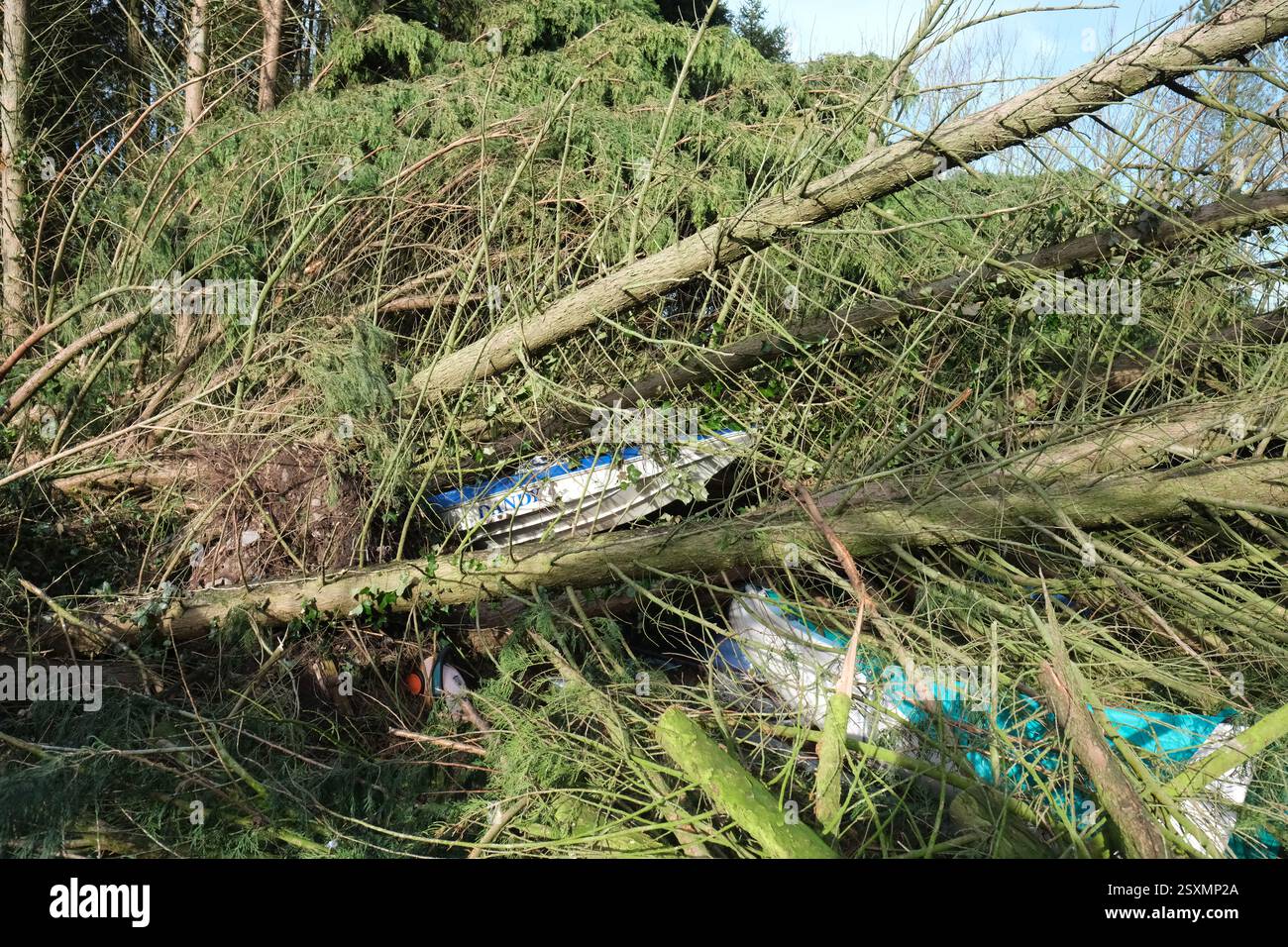 Tempête Eowyn de petits bateaux endommagés par des arbres tombés dans le chantier naval de Garlieston, Wigtownshire, Dumfries et Galloway, Écosse en janvier 2025 Banque D'Images