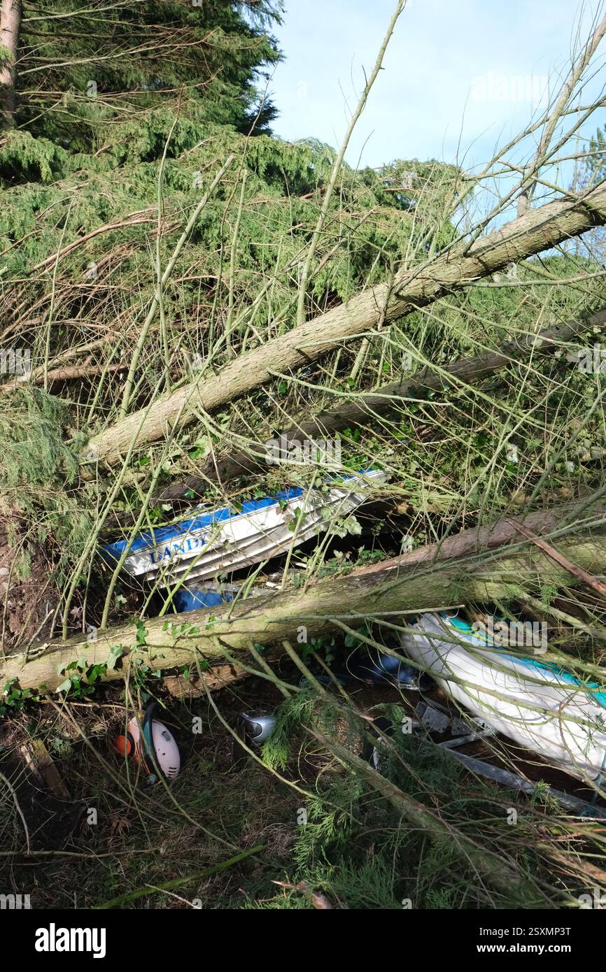 Tempête Eowyn de petits bateaux endommagés par des arbres tombés dans le chantier naval de Garlieston, Wigtownshire, Dumfries et Galloway, Écosse en janvier 2025 Banque D'Images