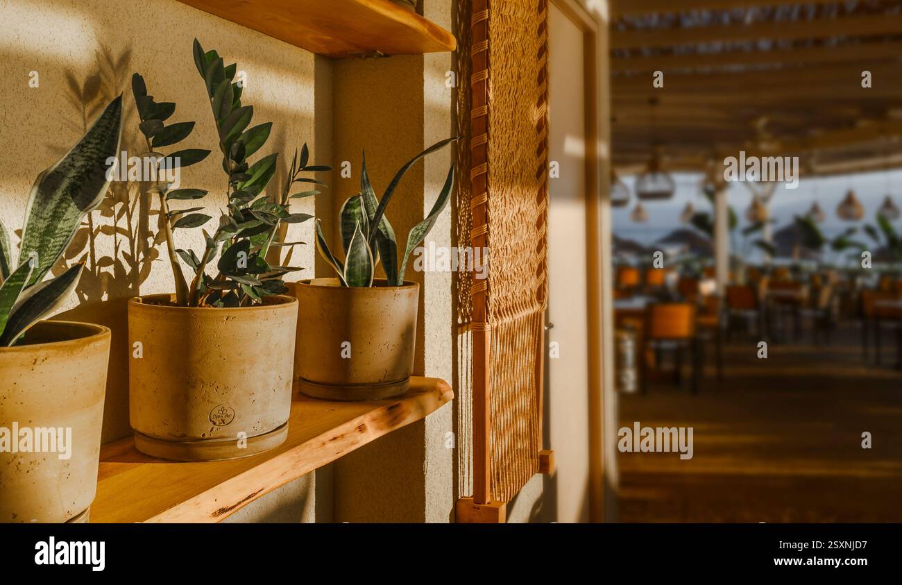 Restaurant romantique en bord de mer au décor naturel. Banque D'Images