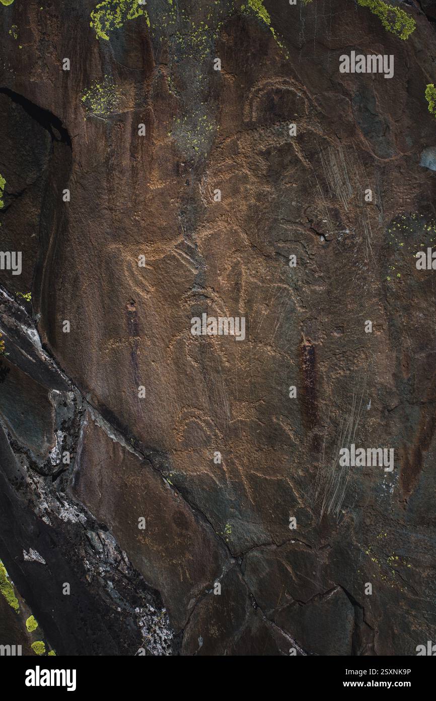 Pétroglyphes sculptés dans les roches de la République de l'Altaï, révélant des expressions artistiques anciennes. Banque D'Images
