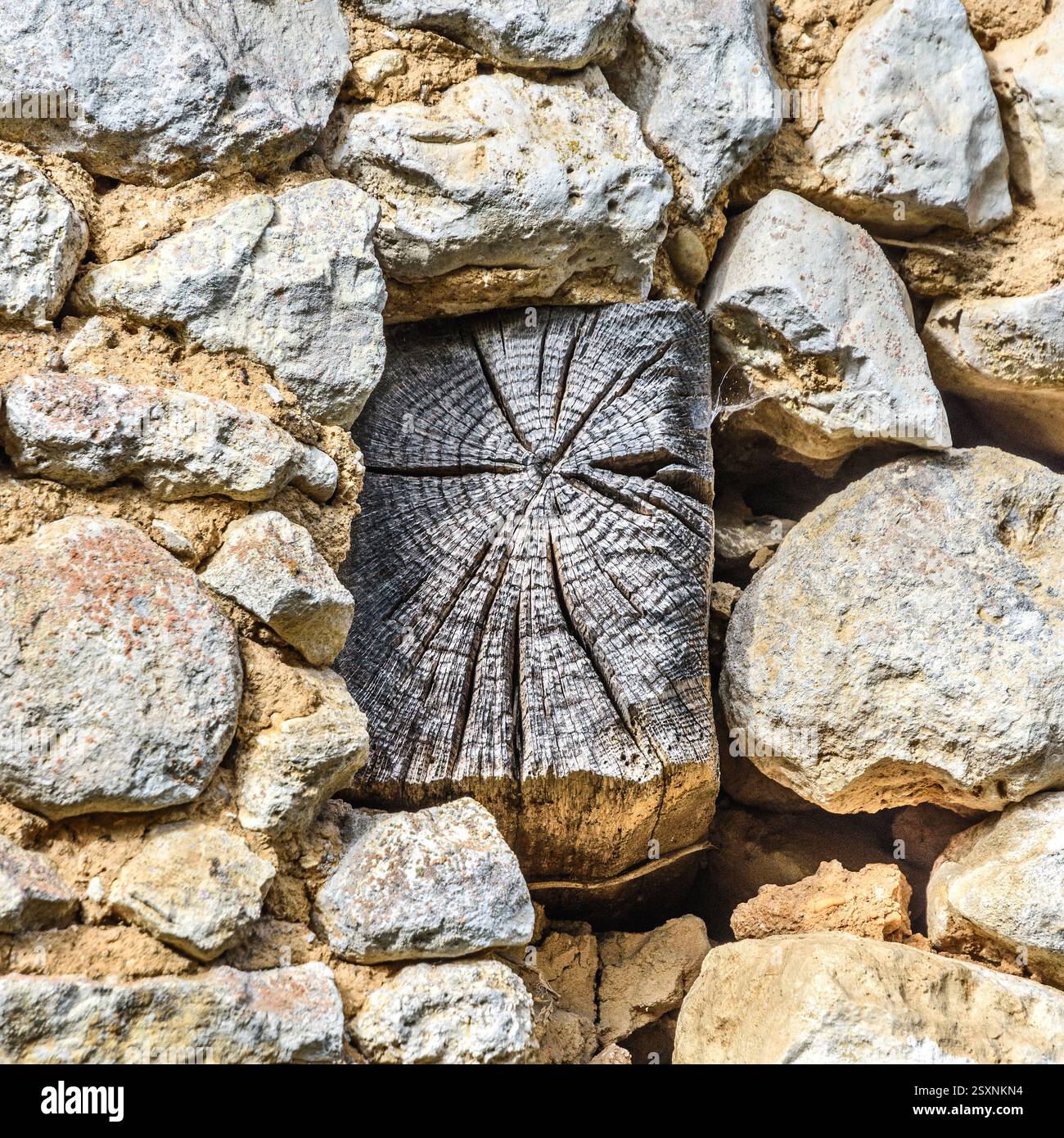 Grain d'extrémité de poutre de chêne structurelle altérée dépassant du mur de pierre du bâtiment ols - Vienne (86), France. Banque D'Images