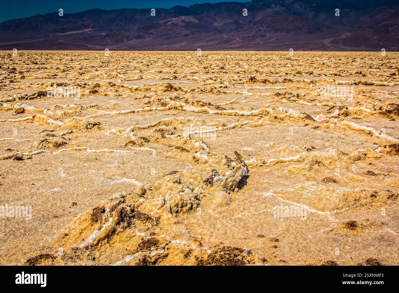 Paysage désertique avec une grande montagne en arrière-plan. Le sol est recouvert de sable et de rochers Banque D'Images