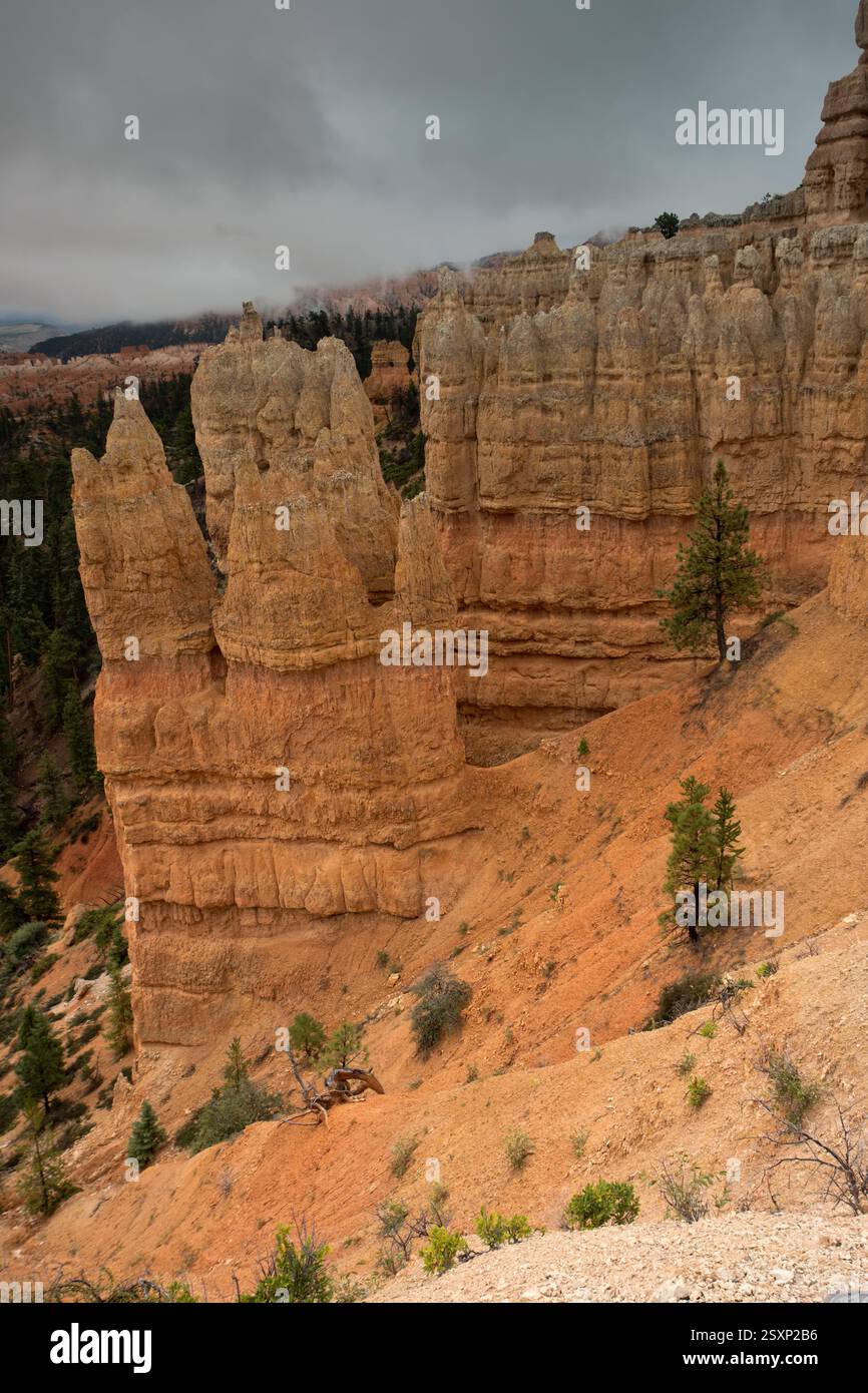 Fairyland Loop Trail Banque D'Images