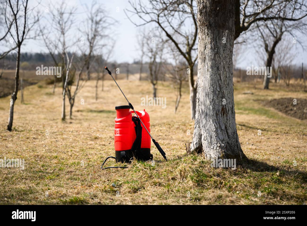 Pulvérisateur de jardin de couleur rouge vif placé dans un jardin de printemps. Outil agricole pour l'entretien des plantes Banque D'Images