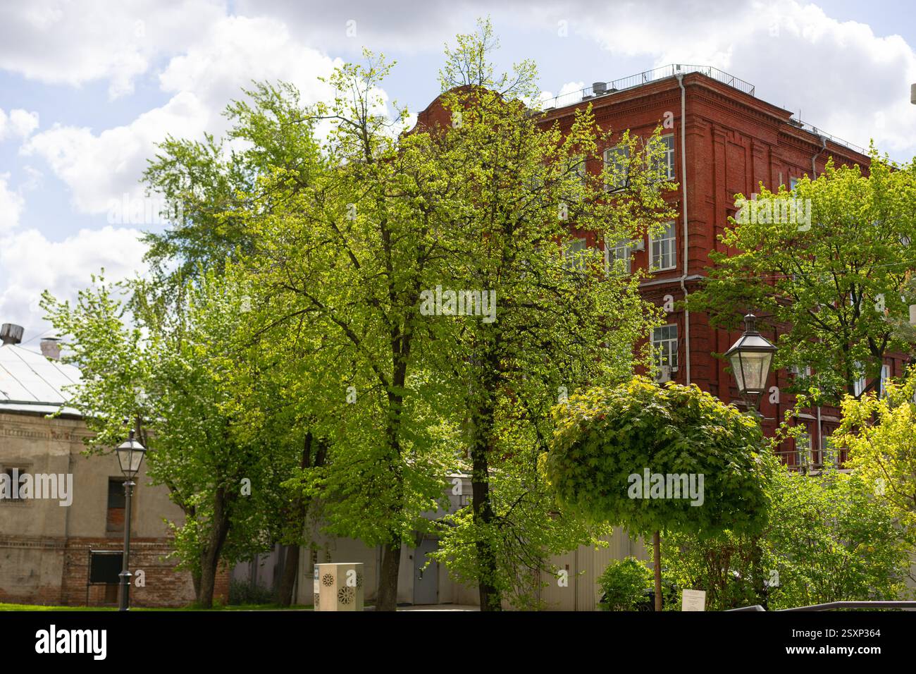 Scène urbaine vibrante avec arbres verts et bâtiment historique en briques à la lumière du soleil Banque D'Images