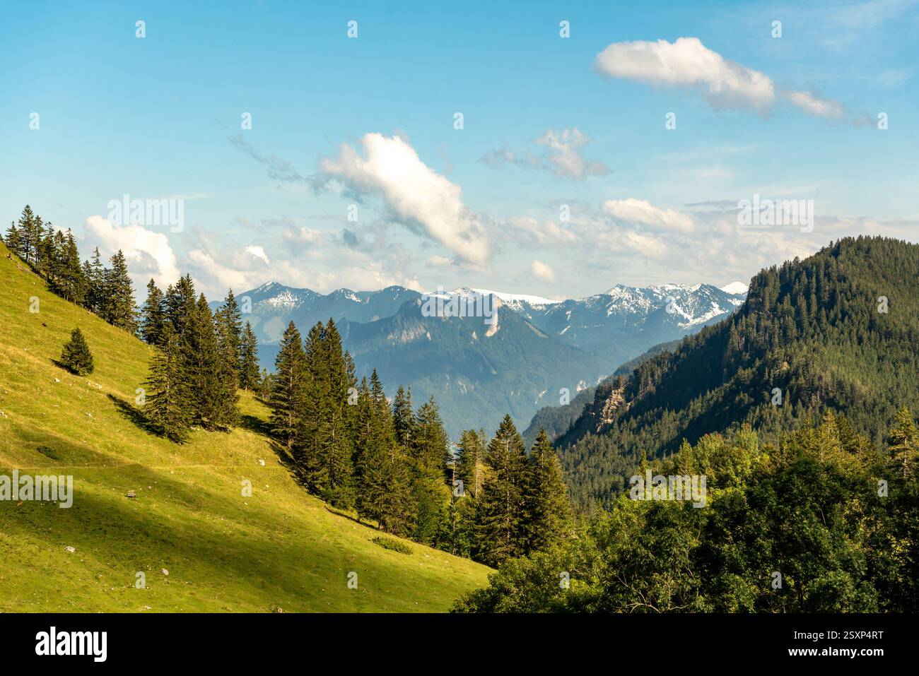 Paysage alpin d'été dans les Alpes bavaroises, Allemagne Banque D'Images