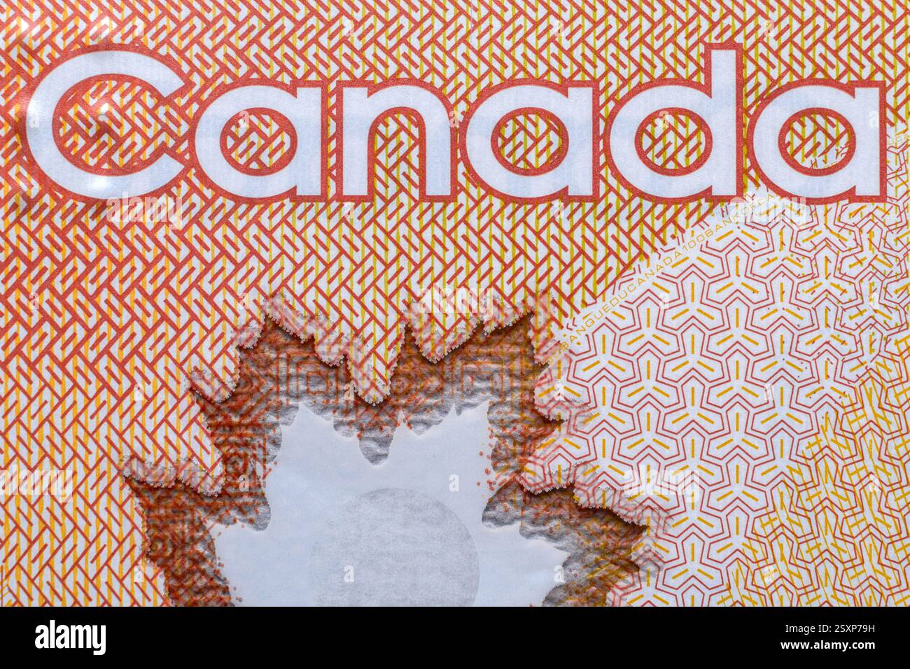 Gros plan macro mot Canada sur un billet de papier en dollars canadiens avec feuille d'érable Banque D'Images
