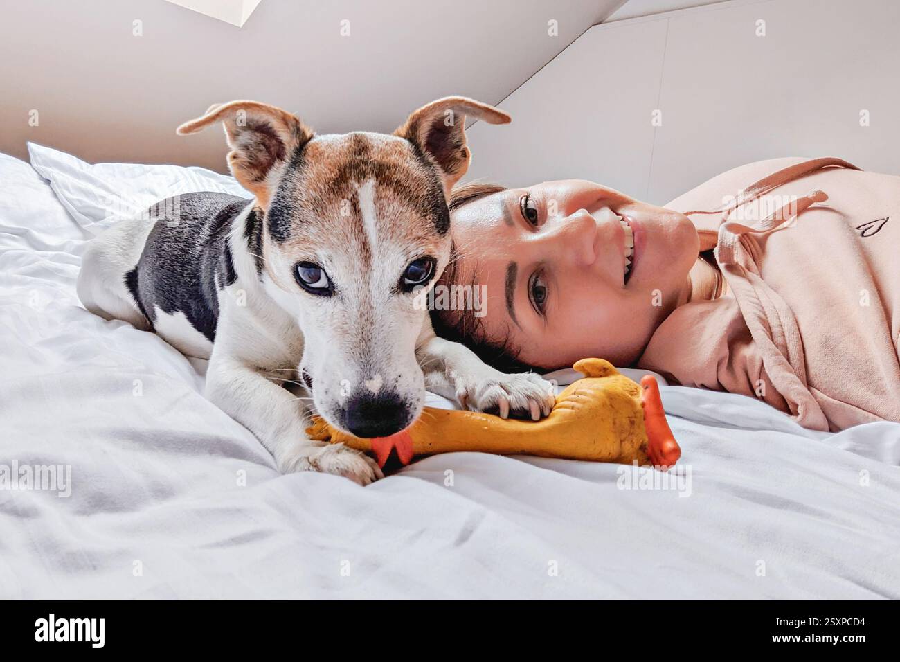 Femme heureuse prenant un Selfie avec son Jack Russell Terrier sur un lit confortable Banque D'Images