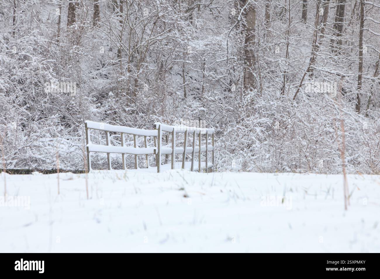 Pont dans la neige avec des bois en arrière-plan Banque D'Images