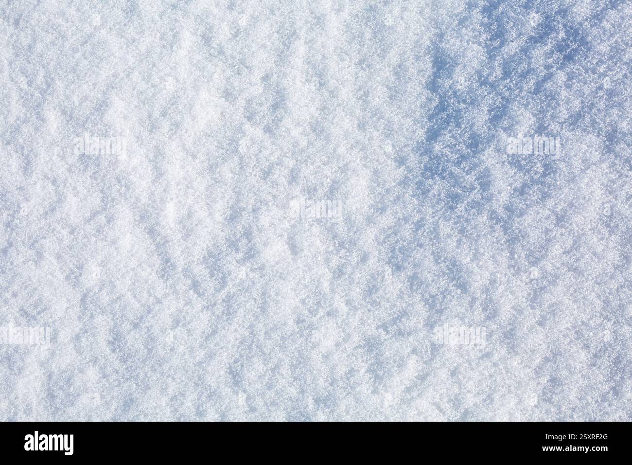Texture fine de la neige, fond d'hiver Banque D'Images