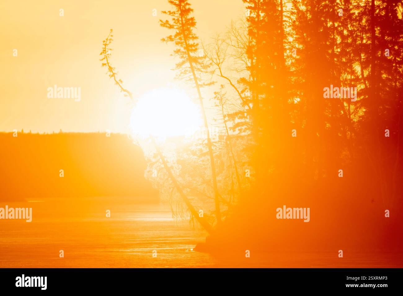 Lever du soleil sur un lac gelé avec des pins sur le rivage, créant une scène chaleureuse et vibrante Banque D'Images