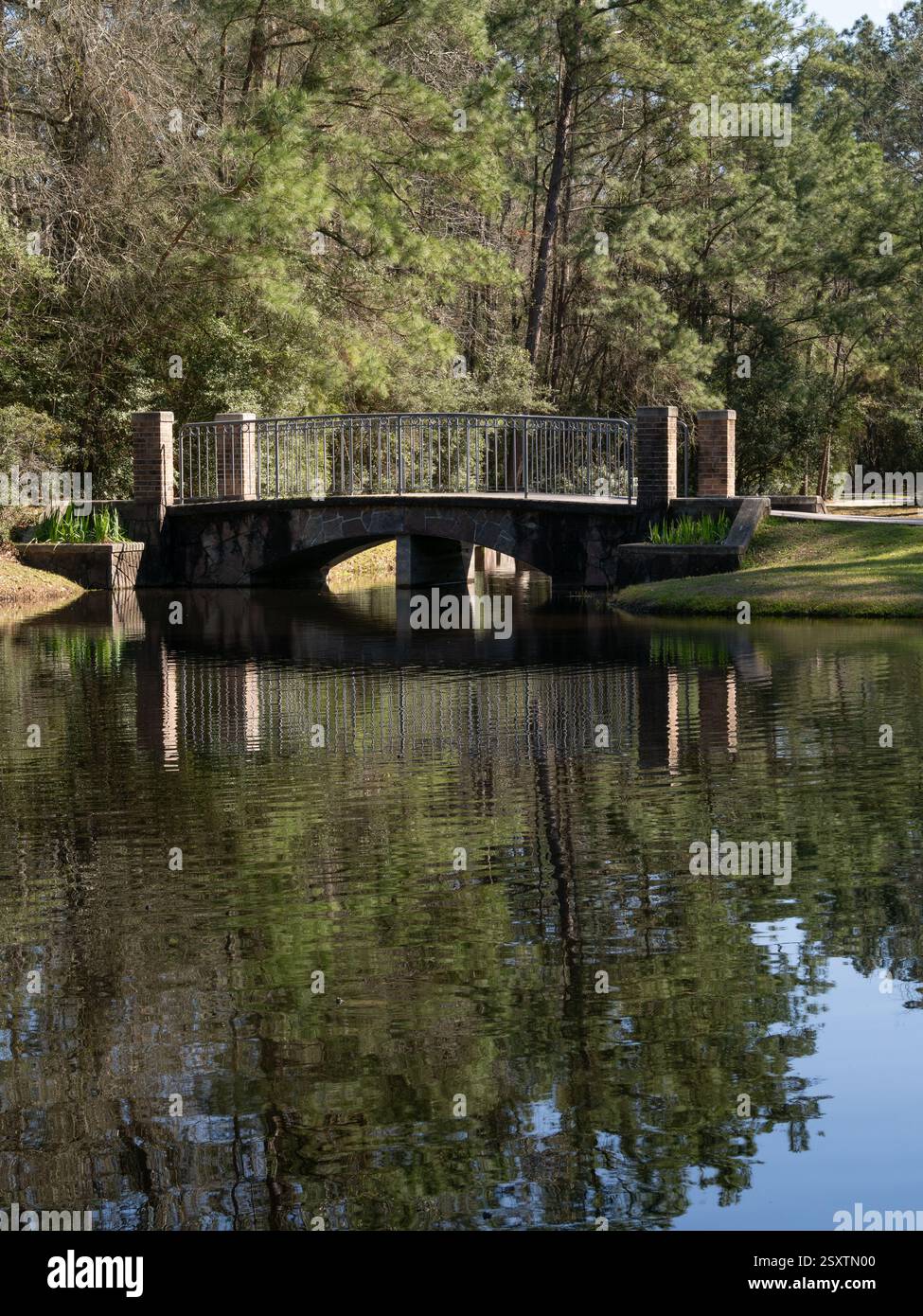 Passerelle dans le parc Alden Woods dans les Woodlands, Texas. L'étang montre un reflet d'arbres à feuilles persistantes. Banque D'Images