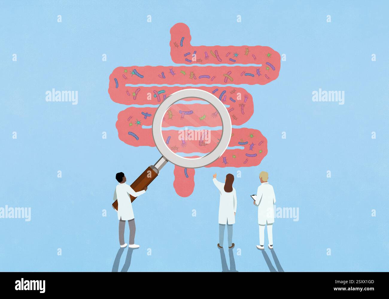 Scientifiques avec loupe examinant les bactéries dans les intestins Banque D'Images