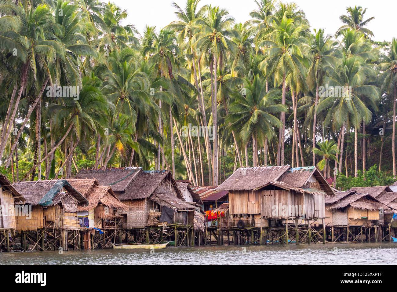 Bahay kubo, maisons Philippines traditionnelles sur pilotis construites au-dessus de la mer avec des matériaux légers et des cocotiers en arrière-plan à Surigao, Philippines Banque D'Images