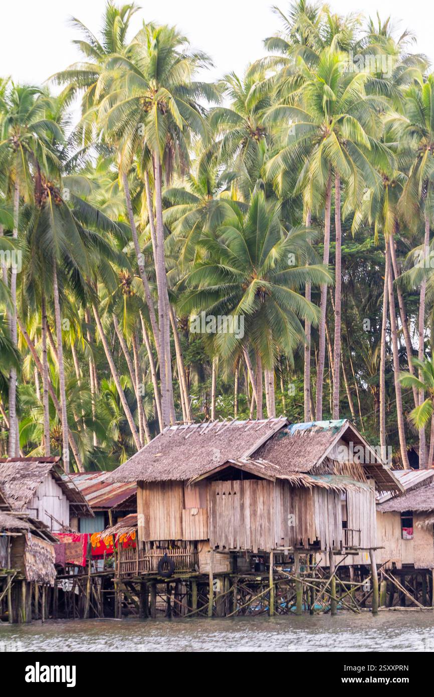 Bahay kubo, maisons Philippines traditionnelles sur pilotis construites au-dessus de la mer avec des matériaux légers et des cocotiers en arrière-plan à Surigao, Philippines Banque D'Images