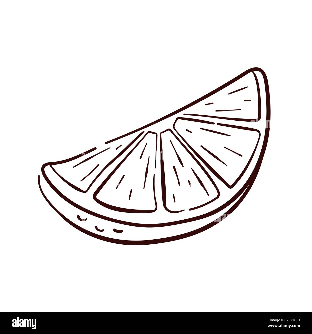 Tranche de citron dans le style d'art au trait. Illustration d'agrumes simple et élégante, parfaite pour le design botanique, culinaire et décoratif. Isolé sur un Illustration de Vecteur