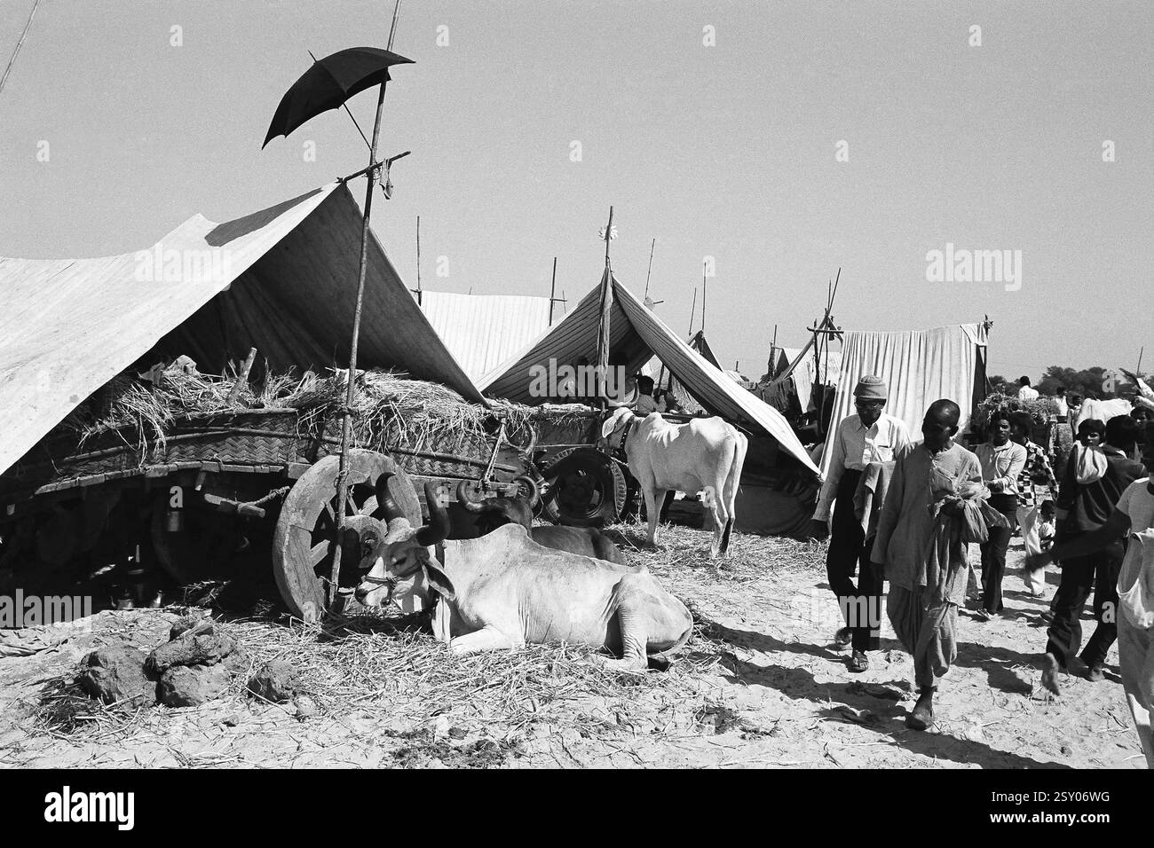 Identificateur de tente juste Voutha parapluie Gujarat Inde Asie 1983 Banque D'Images
