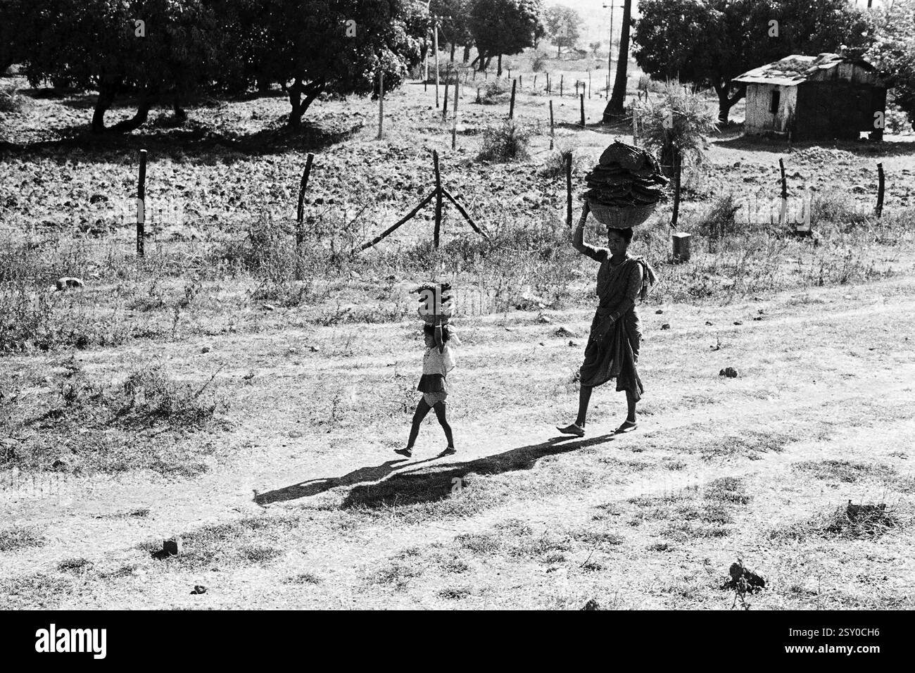 Mère et enfant portant un gâteau de bouse de vache Borivali National Park Mumbai Inde Asie 1973 Banque D'Images