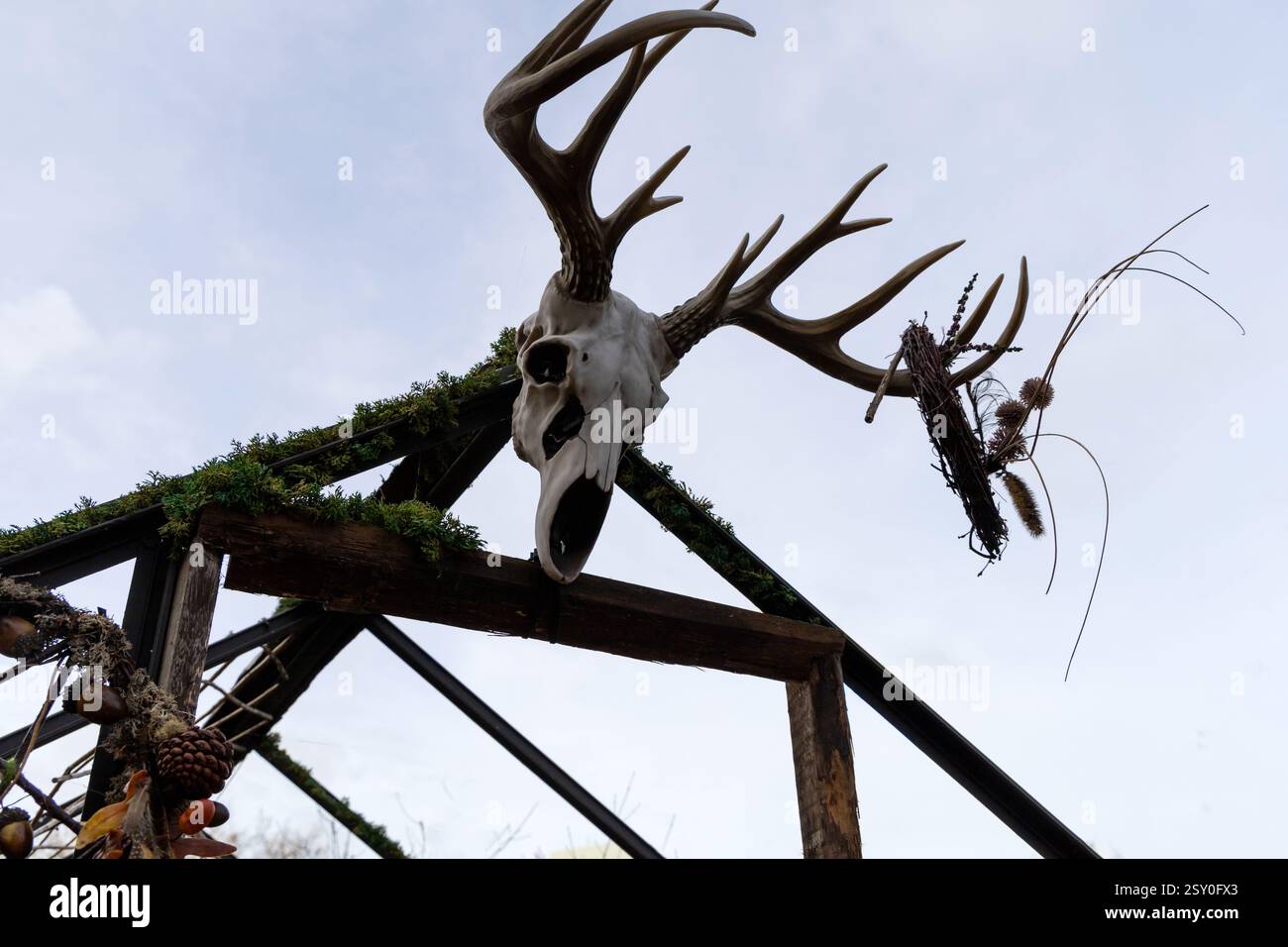 Squelette de cerf avec bois sur le toit de la maison. Photo de haute qualité Banque D'Images