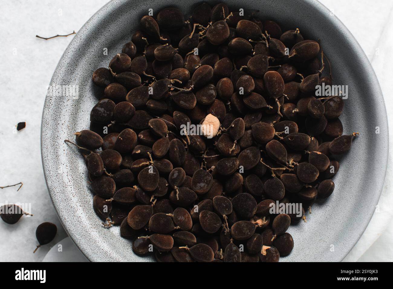 Vue aérienne du tamarin de velours sur un comptoir blanc, vue de dessus du bouquet de tamarin de velours sur fond blanc Banque D'Images