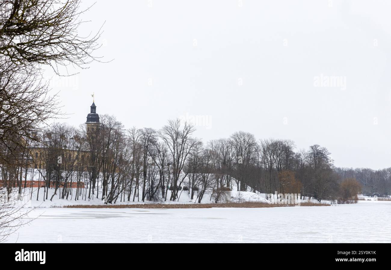 Scène hivernale sereine avec arbres enneigés le long d'une rivière gelée avec un bâtiment historique. Le château de Nesvizh est en arrière-plan Banque D'Images