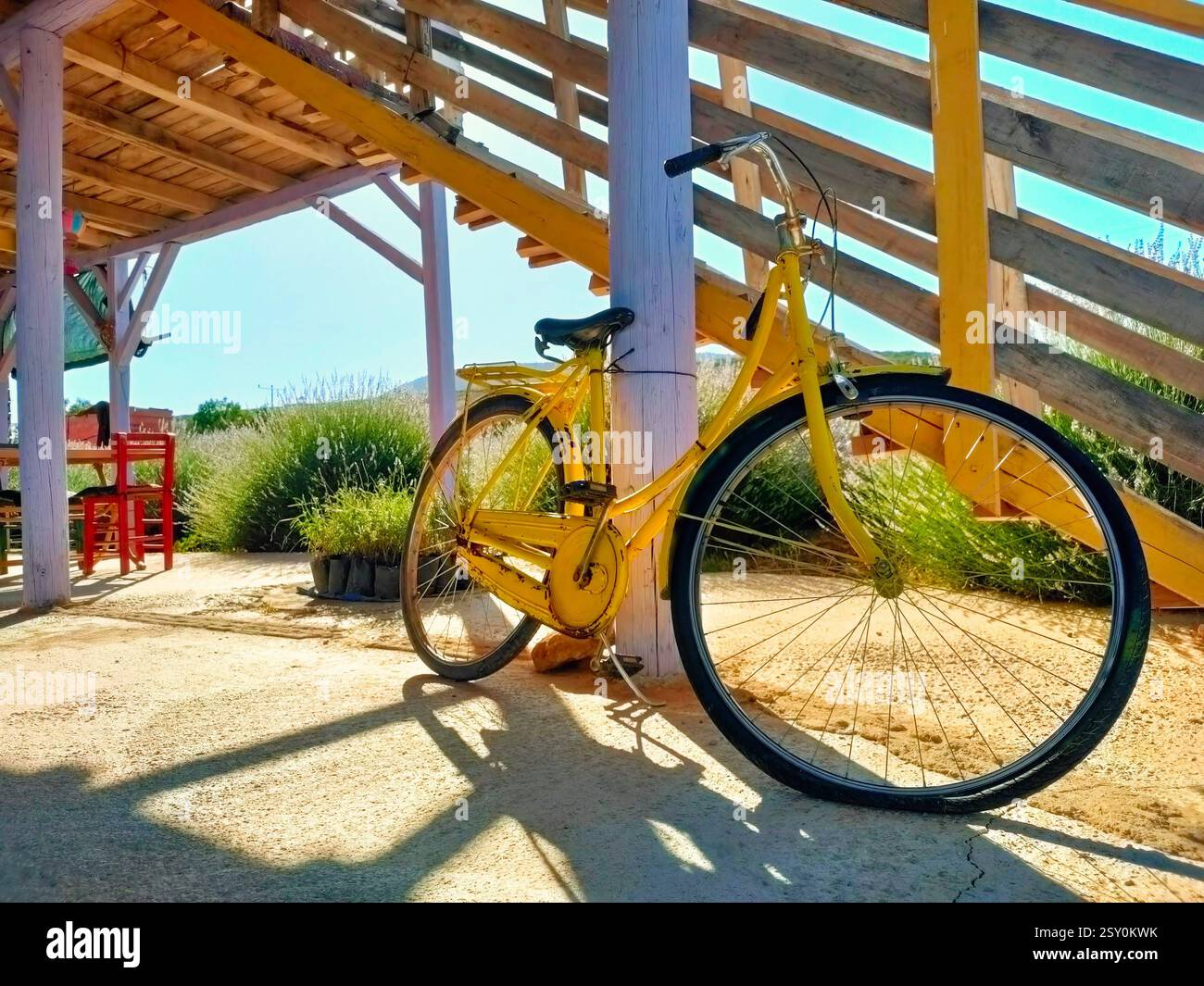 Vélo jaune vintage dans le jardin de lavande. Banque D'Images