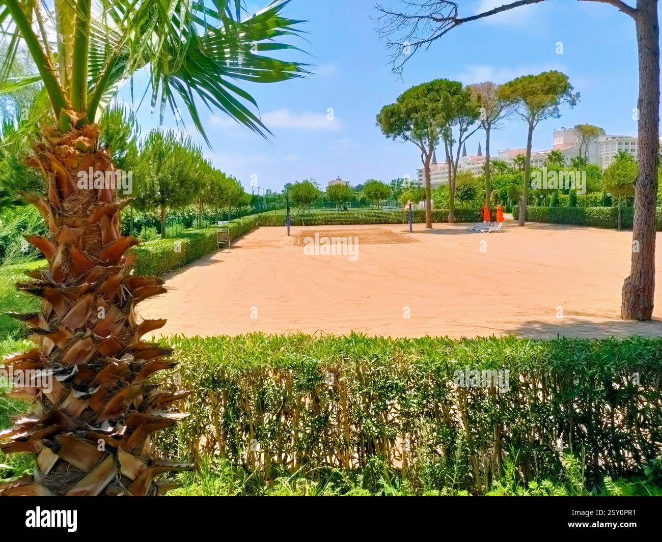 Terrain de volley-ball de sable entouré de palmiers et de haies vertes. Banque D'Images