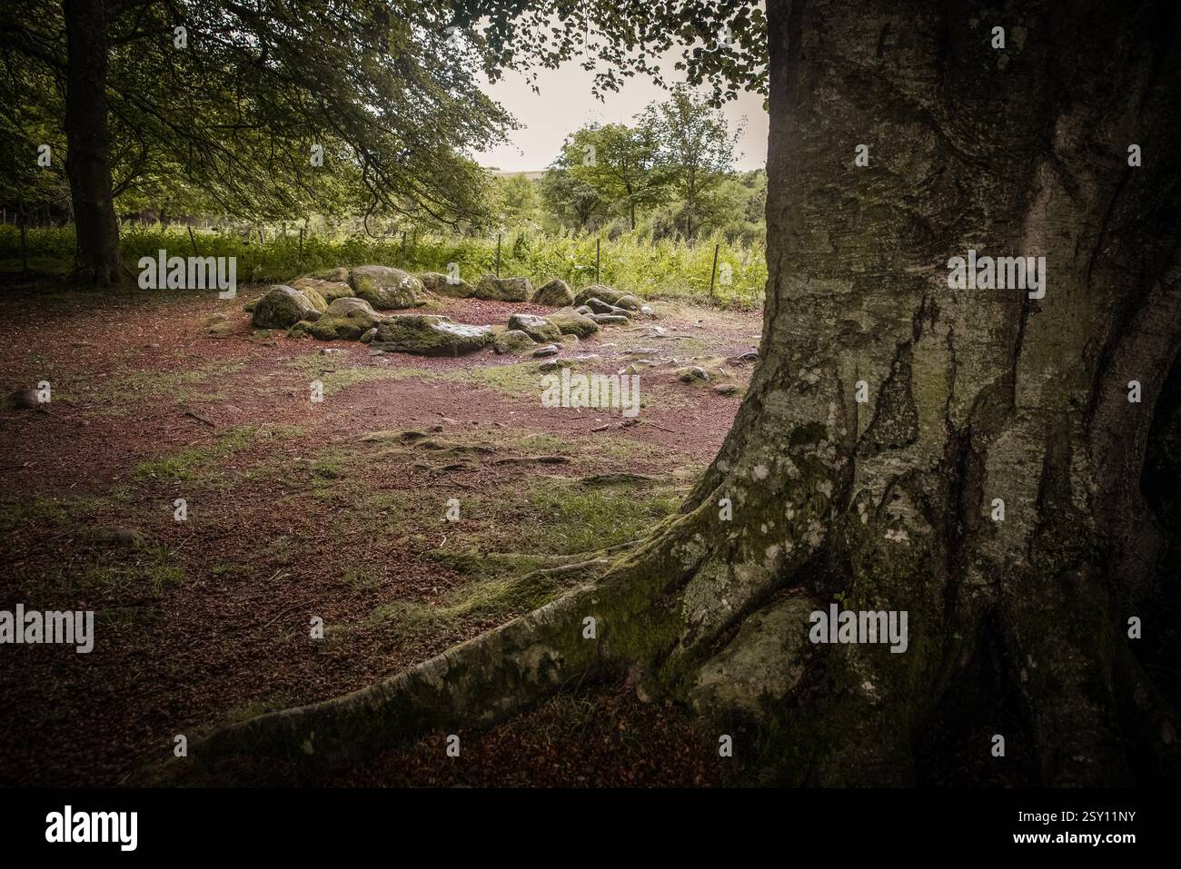 Clava Cairns, Leanach, Inverness, Écosse Banque D'Images