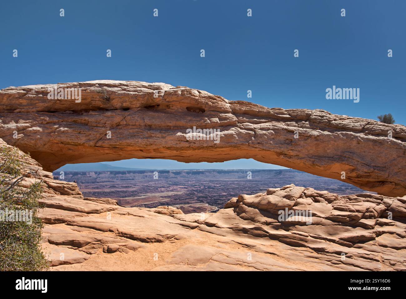 Mesa Arch Banque D'Images