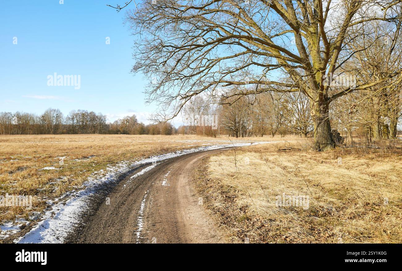 Paysage d'hiver avec un arbre et un chemin de terre, Voïvodie de Poméranie occidentale, Pologne. Banque D'Images