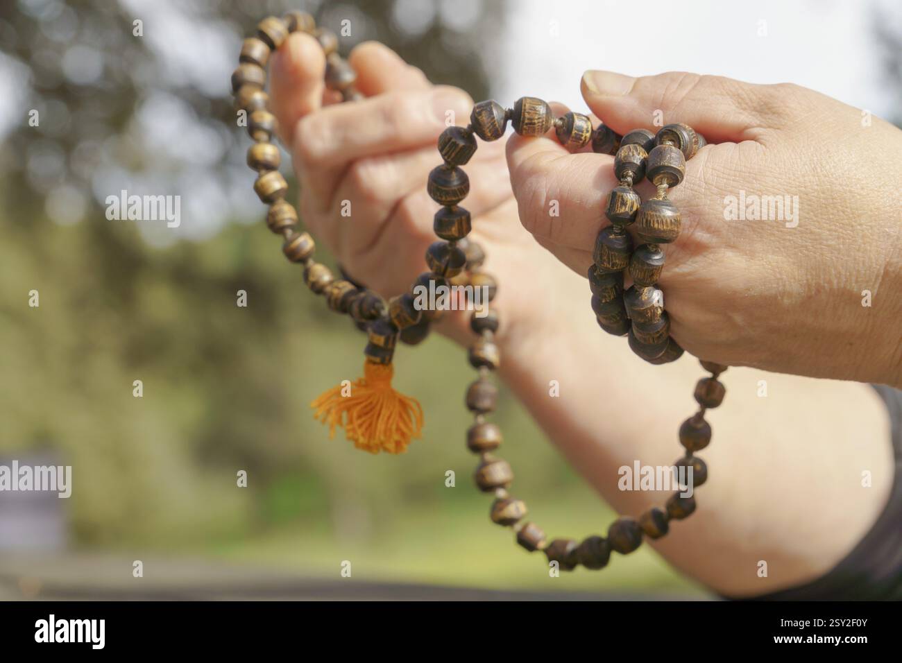 Gros plan d'une femme priant avec des perles de mala bouddhiste en bois ensoleillées dans ses mains Banque D'Images