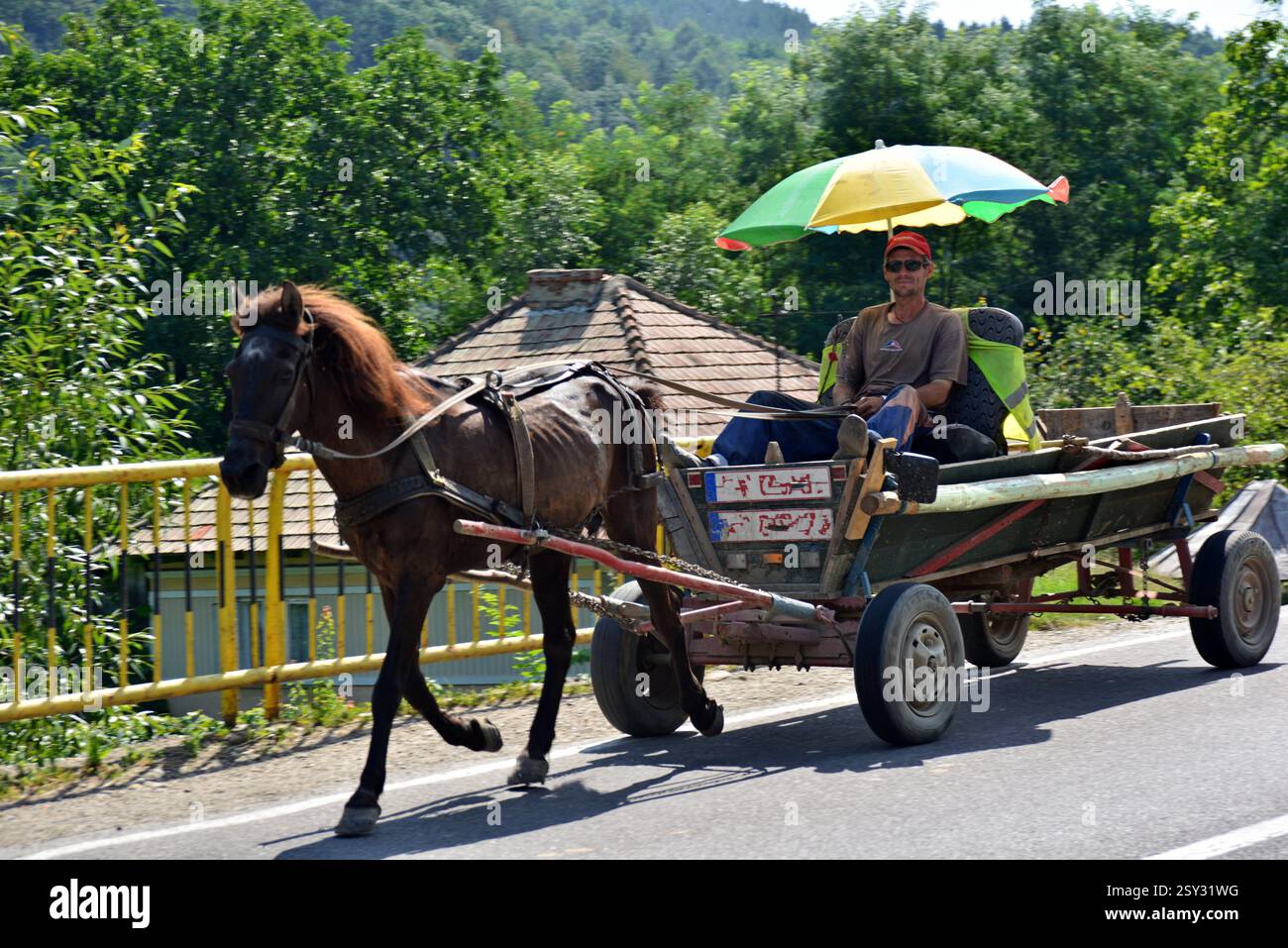 Cheval mal nourri tirant une charrette adaptée avec un parasol Banque D'Images Cheval mal nourri tirant une charrette adaptée avec un parasol Banque D'Images