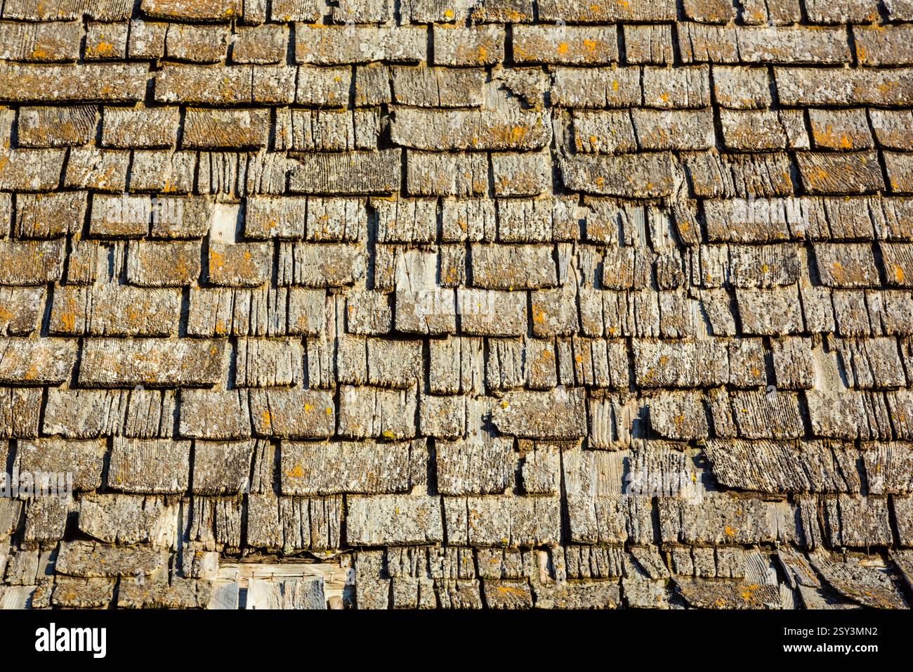 Toit avec beaucoup de fissures et de trous. Le toit est en bois Banque D'Images