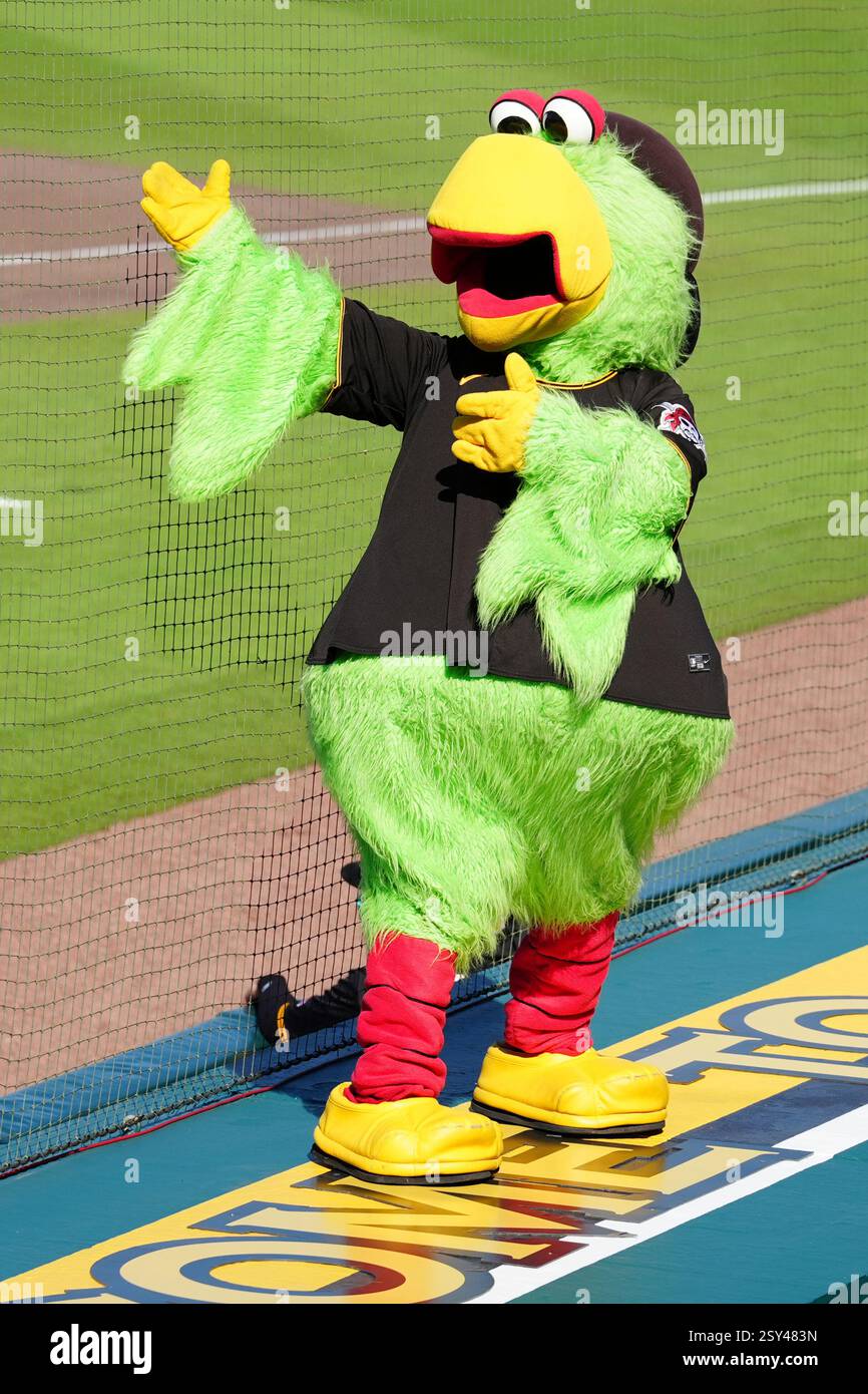 BRADENTON, FL - FEBRUARY 26: Pittsburgh Pirates mascot performs a cheer during a Spring Training game against the Baltimore Orioles on February 26, 2025, at LECOM Park in Bradenton, Florida. (Photo by Brian Spurlock/Icon Sportswire) (Icon Sportswire via AP Images) Banque D'Images