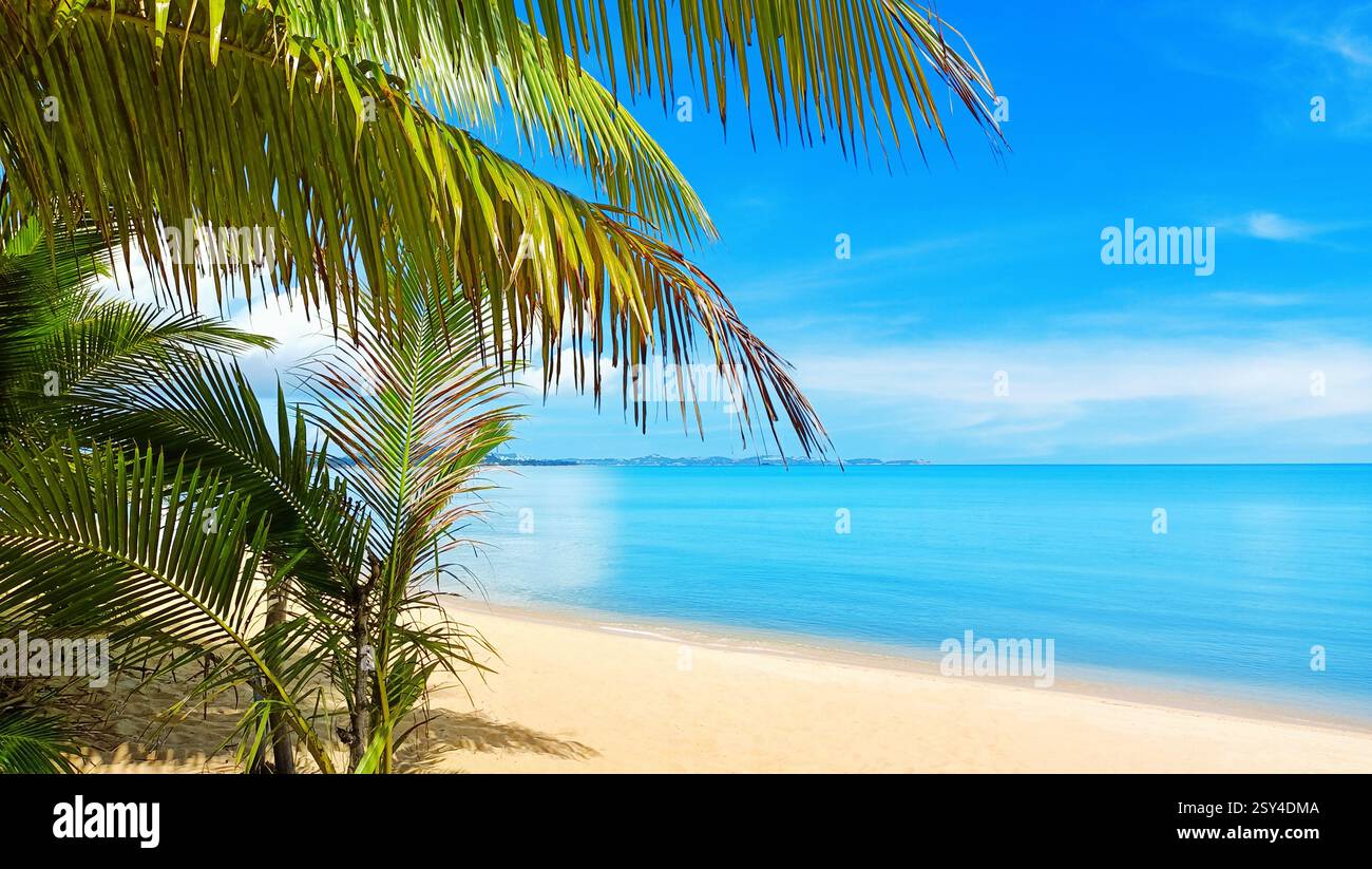 Paysage de plage de mer, panorama paradisiaque d'île tropicale, feuilles vertes de palmier de coco, sable blanc turquoise d'eau de mer, vacances d'été, Samui Thaïlande Banque D'Images