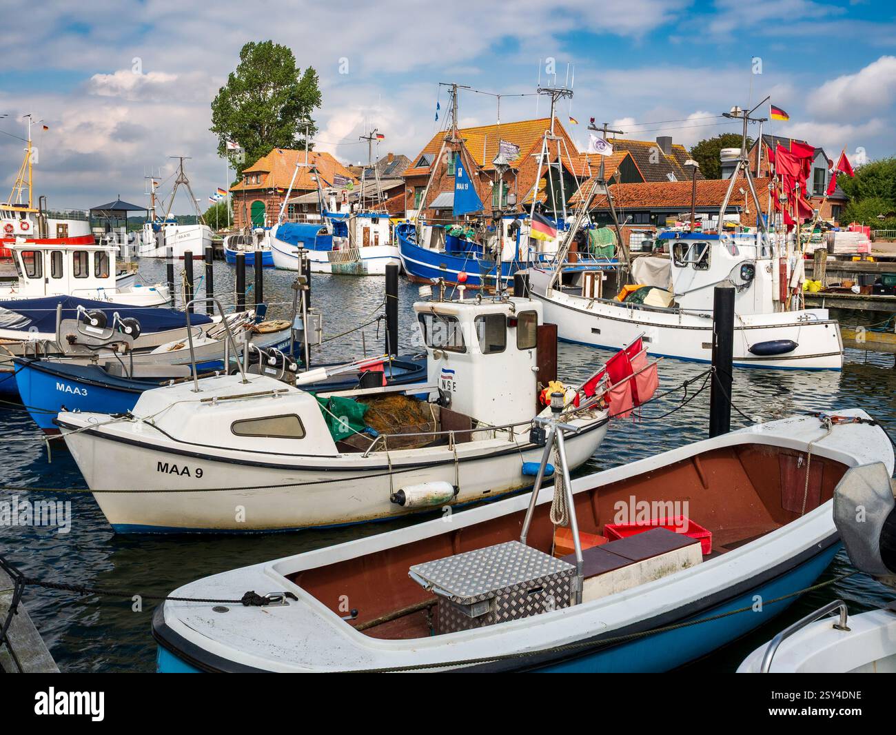 Petits bateaux de pêche amarrés dans le port de Maasholm le long du fjord de Schlei, Schleswig-Holstein, Allemagne Banque D'Images