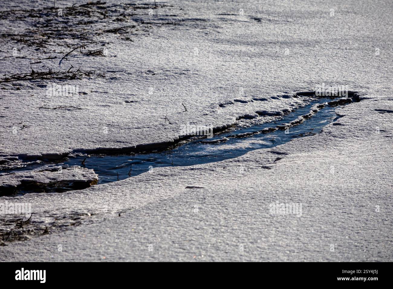 Une danse de contrastes : glace façonnée par le temps, souches gelées immobiles et neige scintillante sous le soleil d'hiver Banque D'Images