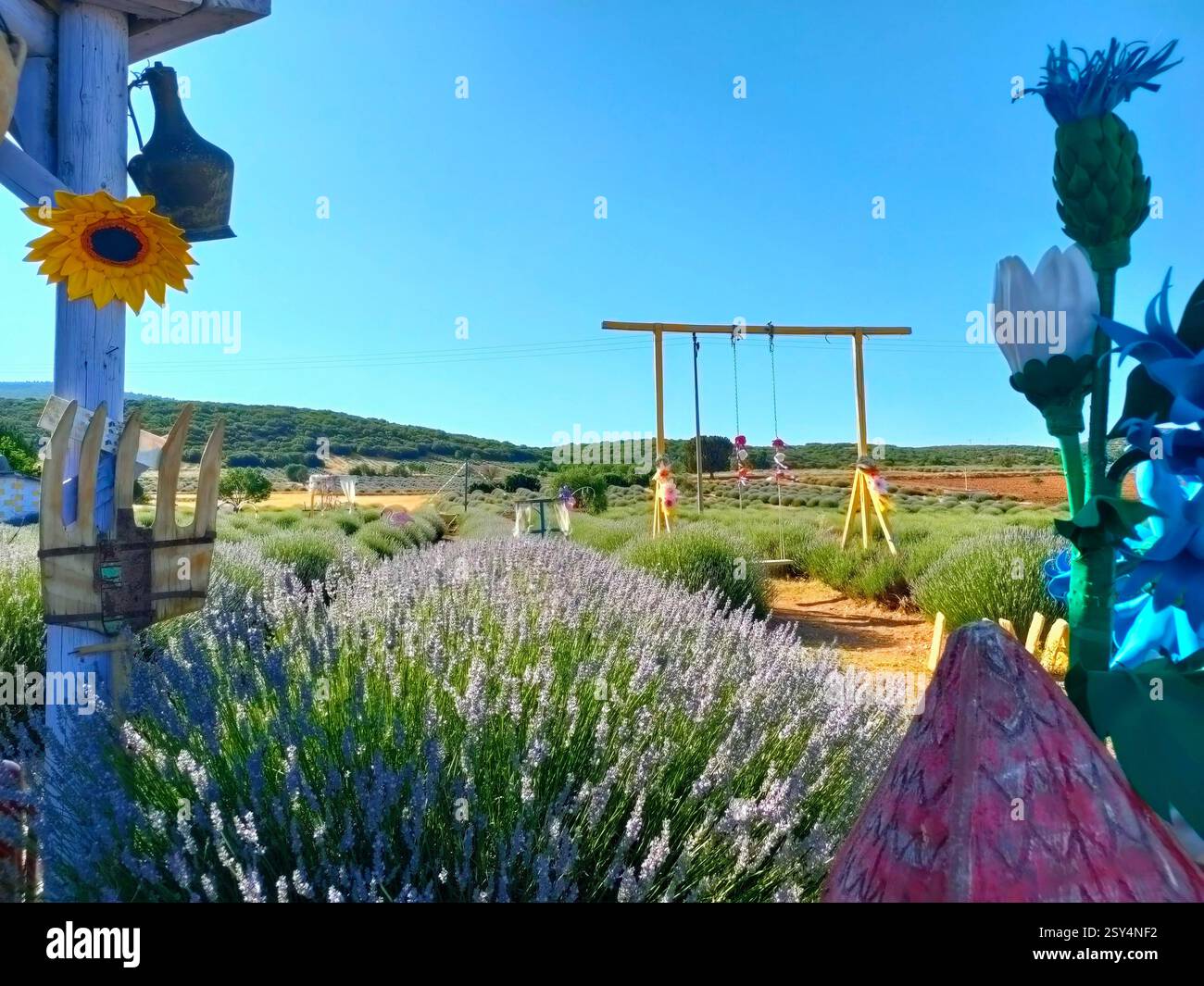 Vue sur une belle ferme en bois vintage avec véranda, terrasse et ornements décoratifs dans un champ de lavande fleurie. Banque D'Images