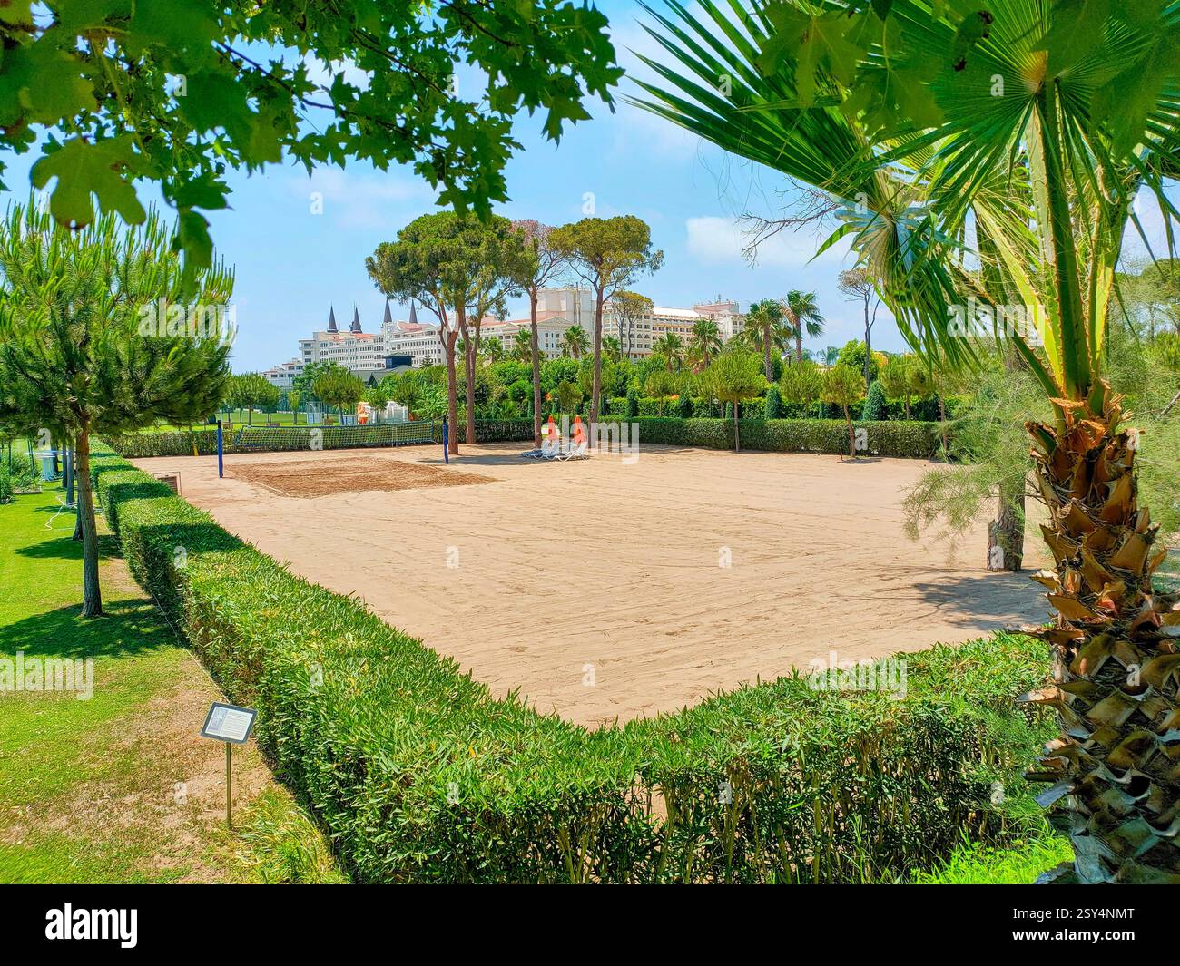 Terrain de volley-ball de sable entouré de palmiers et de haies vertes. Banque D'Images