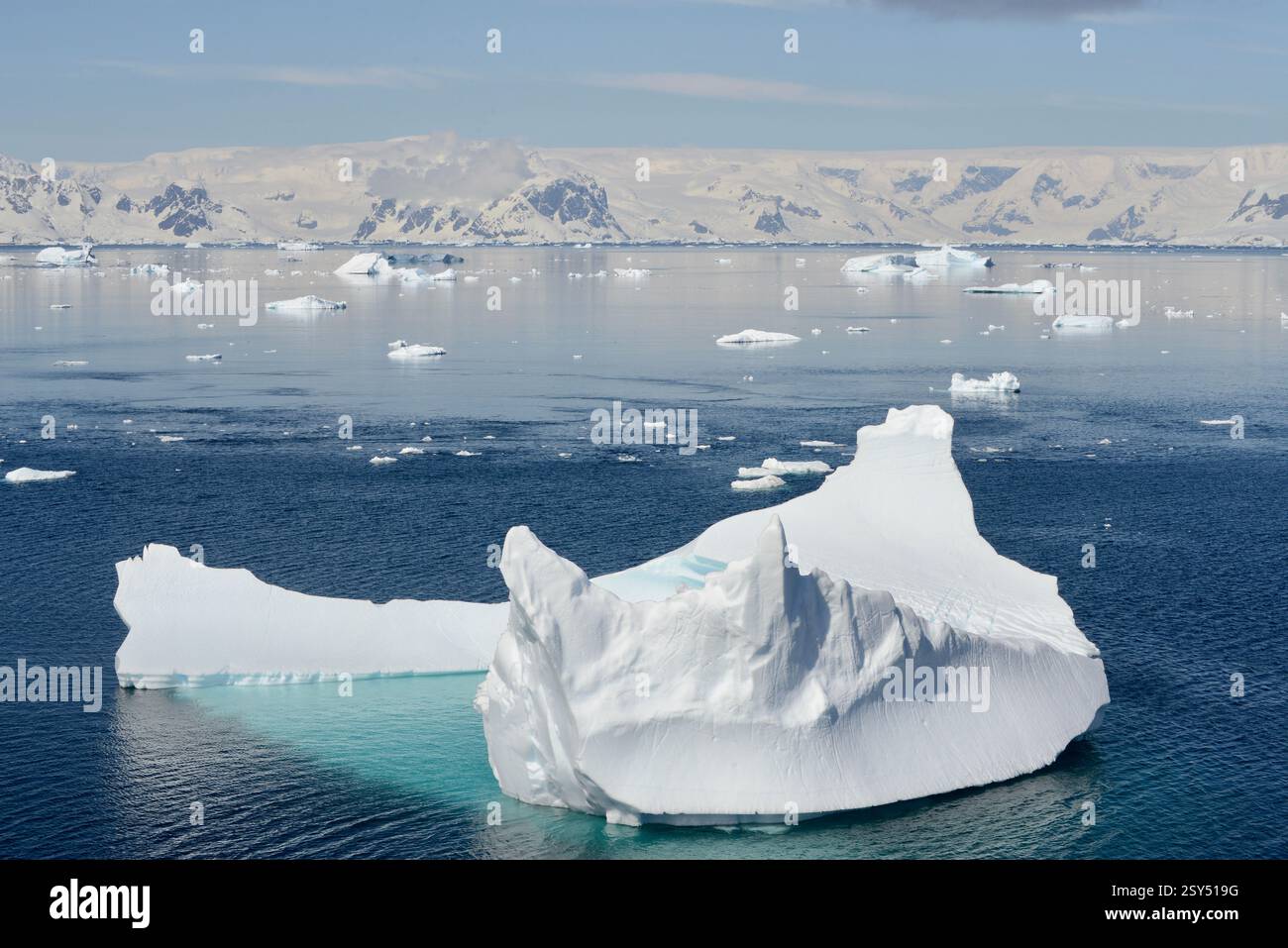 Icebergs et montagnes Banque D'Images