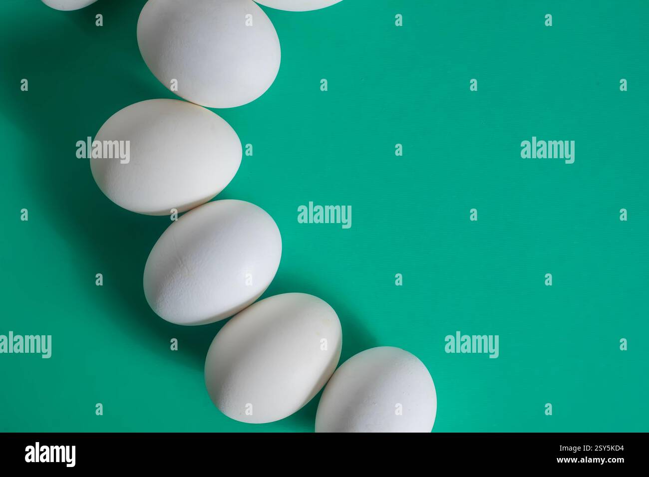 Les œufs blancs sont agencés habilement sur une surface verte propre avec un espace de copie pour le texte. Banque D'Images