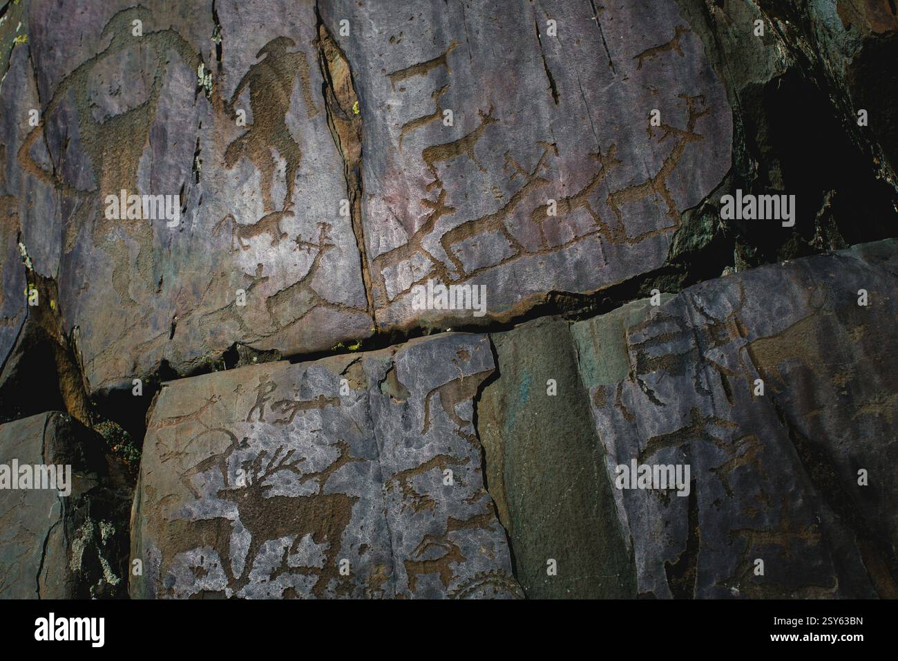 Anciens pétroglyphes sculptés dans les rochers de la République de l'Altaï, mettant en valeur l'art préhistorique et le patrimoine culturel. Banque D'Images