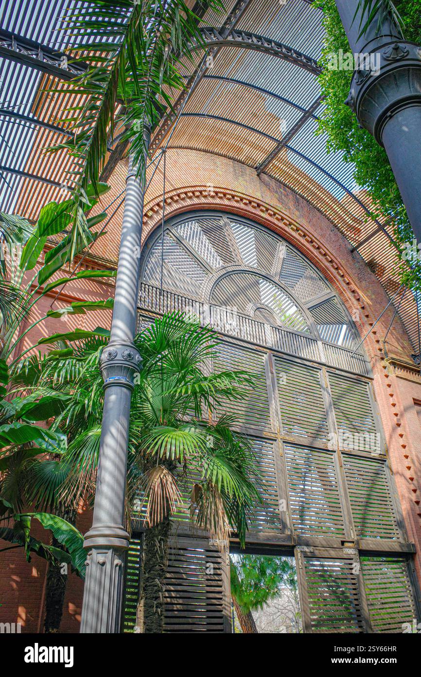 Barcelone, Espagne - 16 février 2025 : jardin hivernal de l'Hivernacle dans le parc de la Ciutadella, Barcelone Banque D'Images